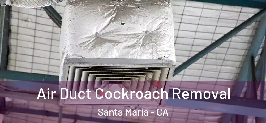Air Duct Cockroach Removal Santa Maria - CA
