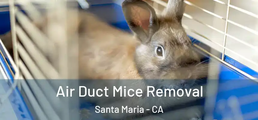 Air Duct Mice Removal Santa Maria - CA