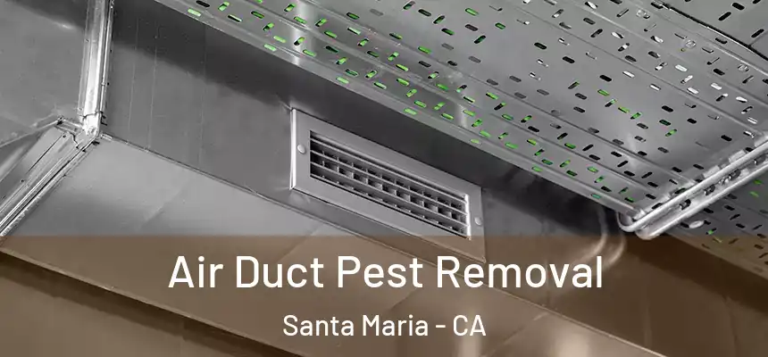 Air Duct Pest Removal Santa Maria - CA