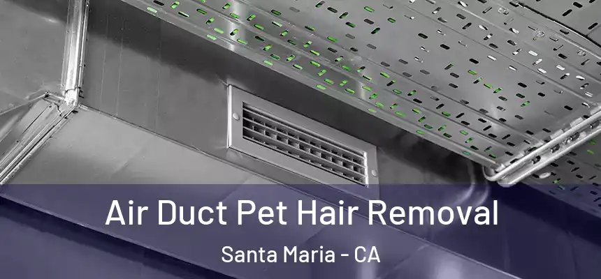 Air Duct Pet Hair Removal Santa Maria - CA