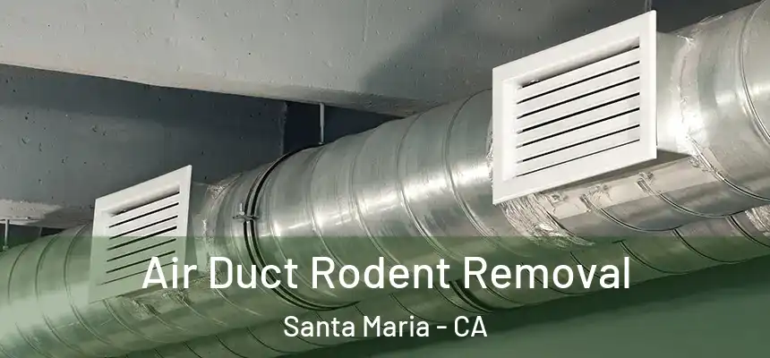 Air Duct Rodent Removal Santa Maria - CA