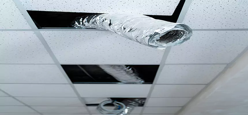 Affordable HVAC Sanitizing After Pest Removal in Santa Maria