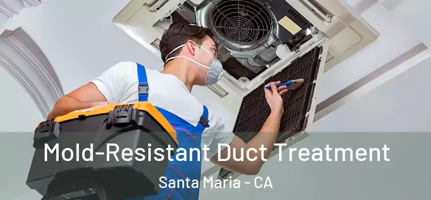 Mold-Resistant Duct Treatment Santa Maria - CA