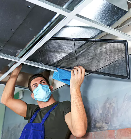 About Air Duct Bacteria Removal in Santa Maria