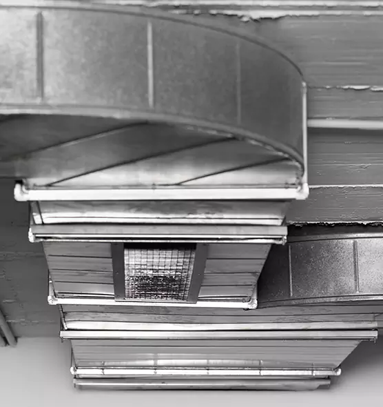 Professional Air Duct Pest Removal in Santa Maria, CA