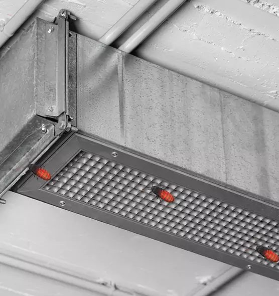 Affordable Insect Removal from Air Ducts in Santa Maria, CA