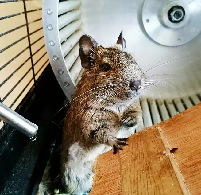 Why Homeowners & Businesses Trust Us Santa Maria, CA