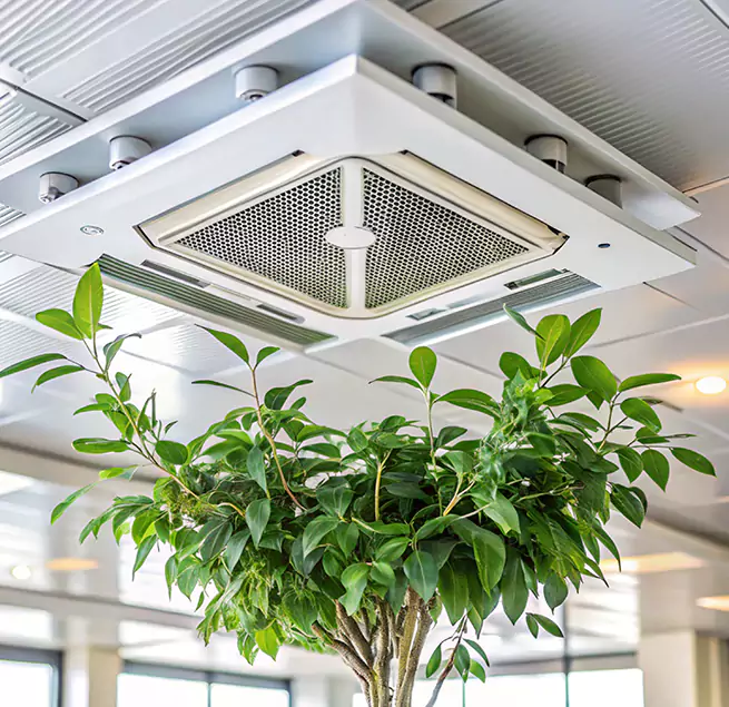 Why Homeowners & Businesses Trust Us in Santa Maria, CA?