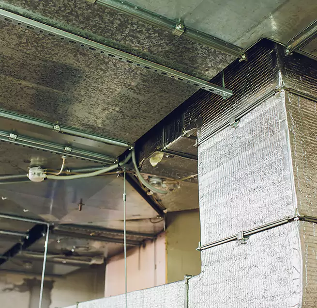 Why Homeowners & Businesses Trust Us in Santa Maria, CA?